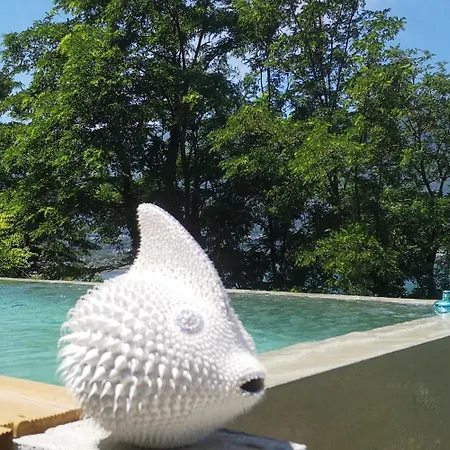 Tiny-pool-lake Kapslový hotel