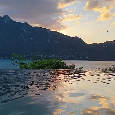 Tiny-pool-lake Capsule hotel